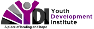 Youth development institute